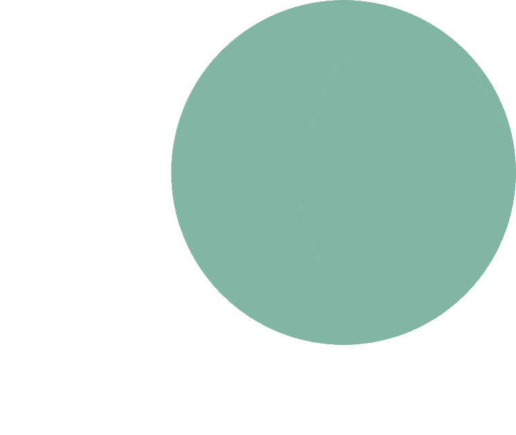 Animation-5-min Chat with our team to learn how we can multiply your revenue in 2 months