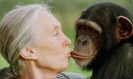 Dr. Jane Goodall Dr. Anthony Fauci