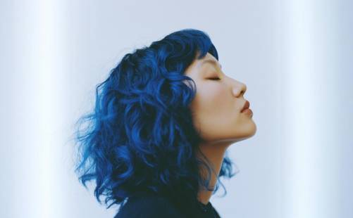 how 2 hair influ thumbnail TikTok